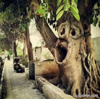 搞笑内涵图片之拔下来那一刻我好方