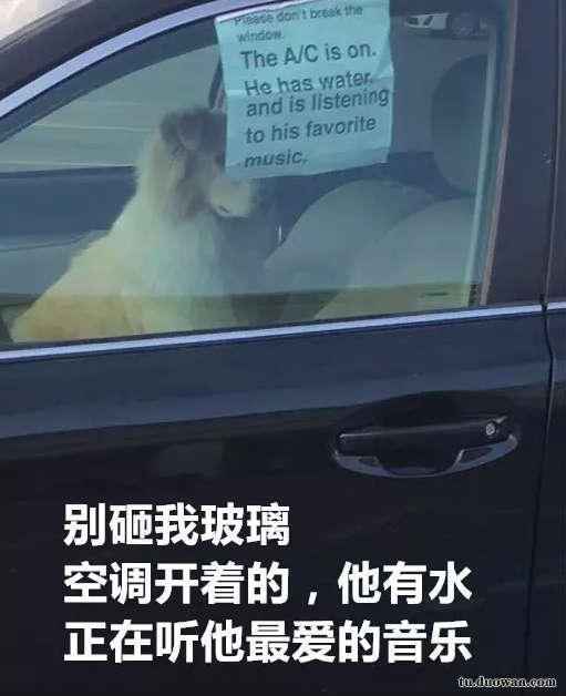 搞笑内涵图之喵星人:我仿佛闻到了小鱼干的味道