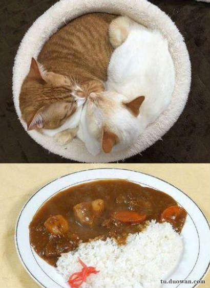 搞笑内涵图片之论男生如何在泳池制造飘逸效果