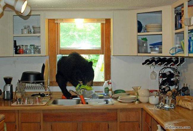 搞笑内涵图片之论男生如何在泳池制造飘逸效果