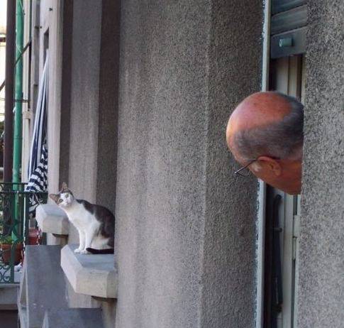 国外搞笑趣图一览逗乐你的生活