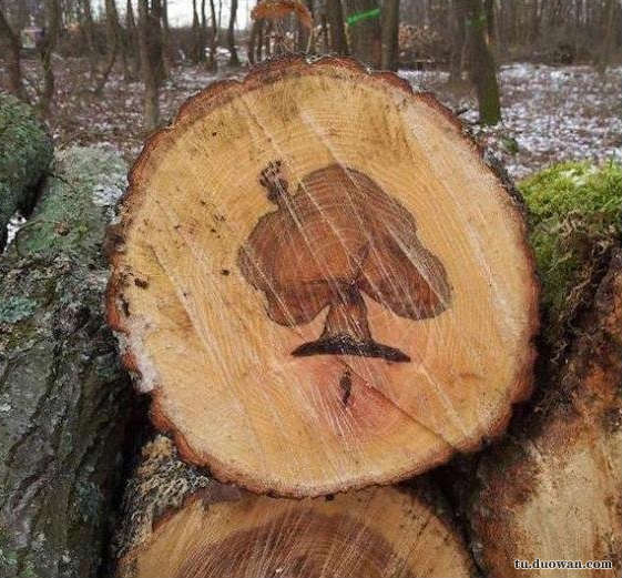 搞笑内涵图片之总感觉好像哪里不对