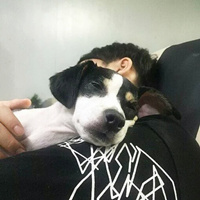 QQ个性阳光型男头像 爱动物的暖男