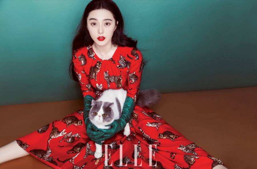 范冰冰杂志封面图片 抱猫卖萌俏皮可爱