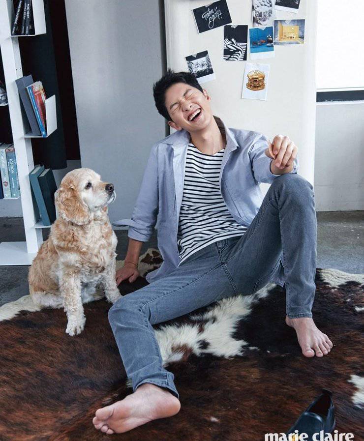 宋仲基最新写真照曝光 化身爱狗帅气宅男