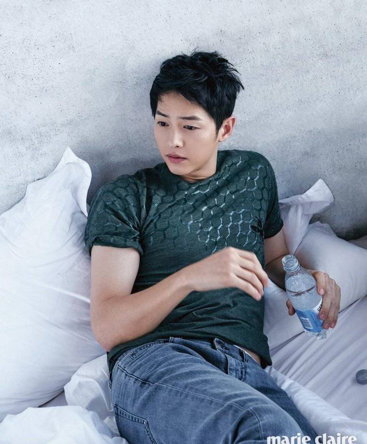 宋仲基最新写真照曝光 化身爱狗帅气宅男