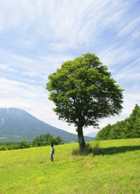 人与绿色大自然图片