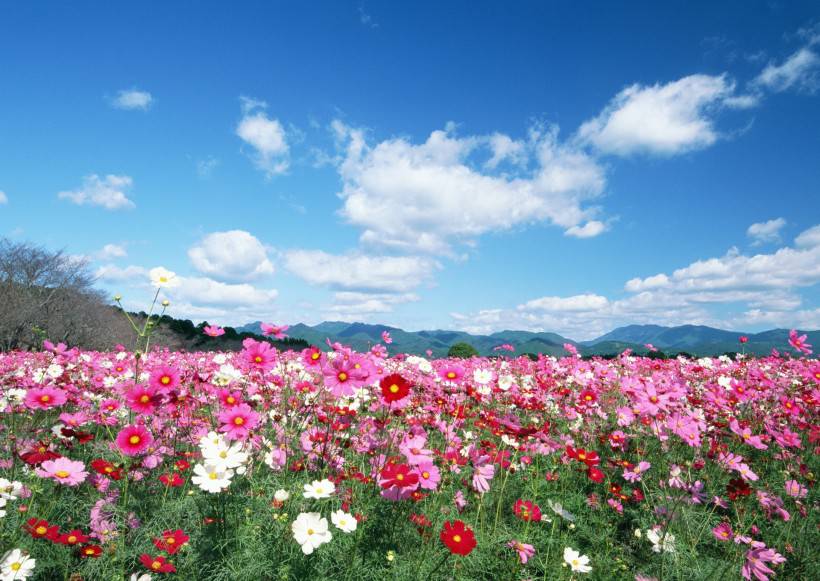 人与绿色大自然图片