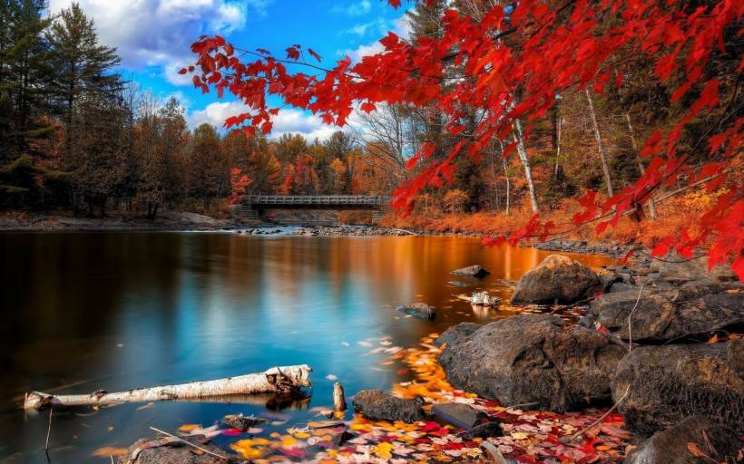 大自然美景桌面壁纸