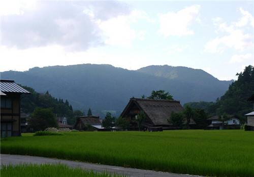 小清新乡村自然风光美景图片