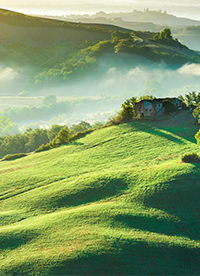 绿色大草原高清图片欣赏