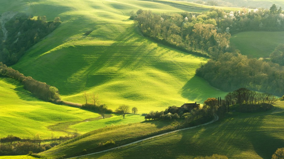 绿色大草原高清图片欣赏