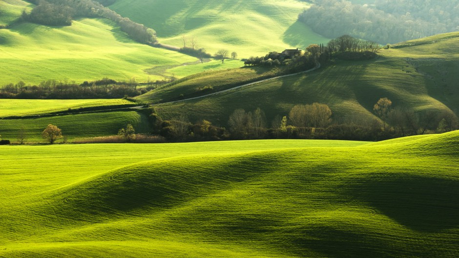 绿色大草原高清图片欣赏