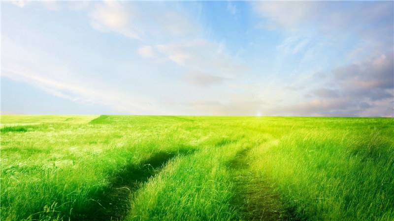 美丽的绿色草原风景图片欣赏