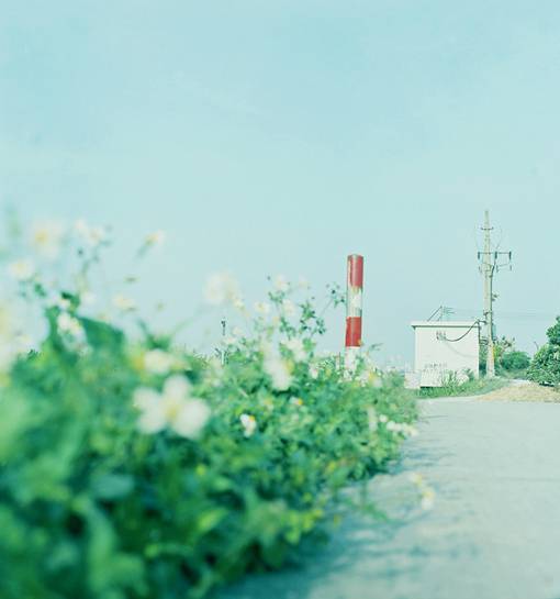 唯美清新小镇街道风景图片欣赏