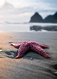 海边唯美沙滩风景高清图片