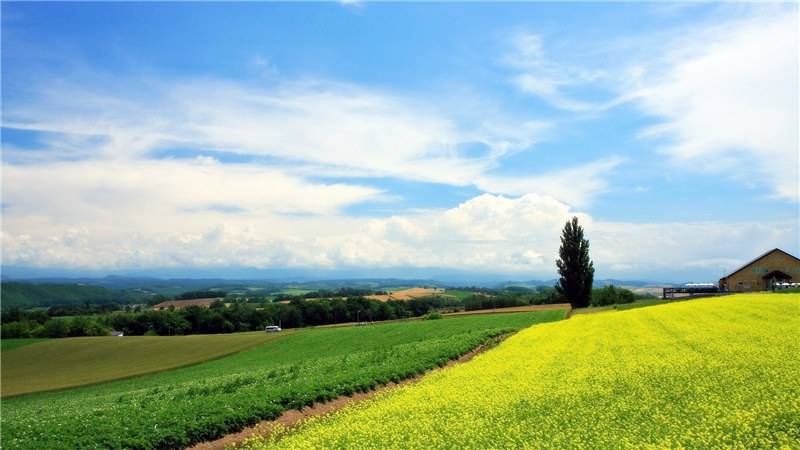 美丽的绿色草原风景图片欣赏