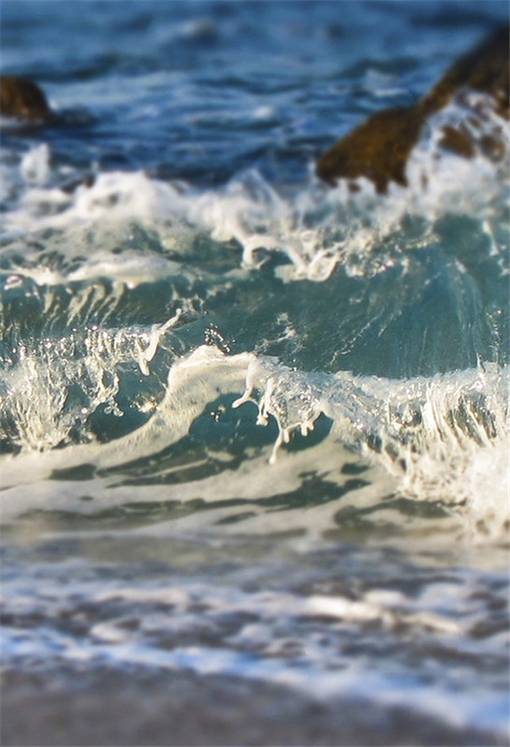 唯美海边图片 我想和你一起去看海