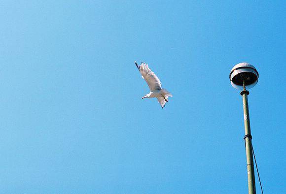 世界各地旅行美景图片鉴赏