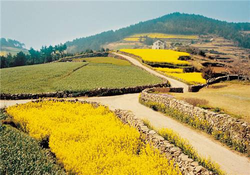 小清新乡村自然风光美景图片