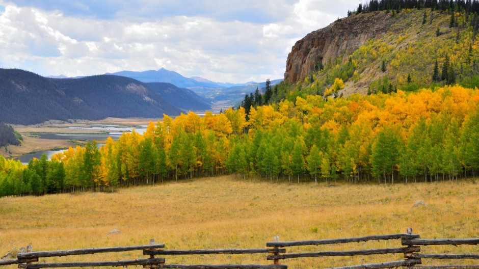 绿色唯美大草原图片大全