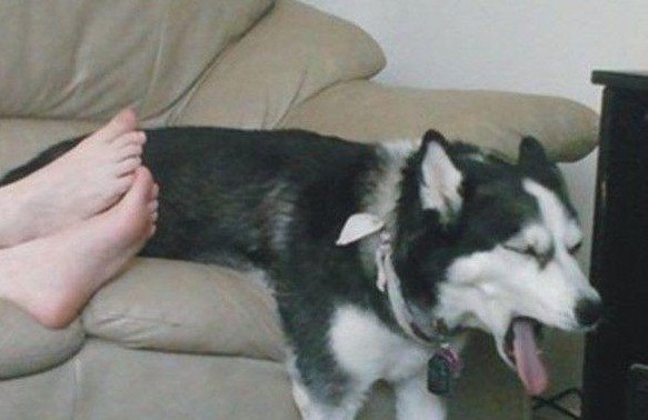 脚臭患者怎样去除脚臭的小窍门