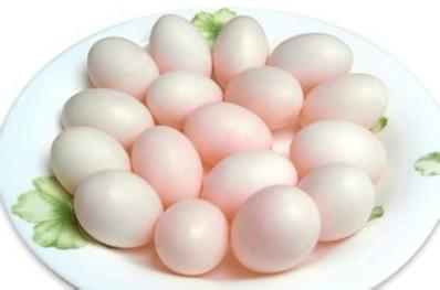 鸽子蛋的营养成分
