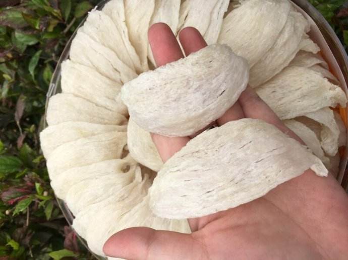 正确吃燕窝的吃法以及燕窝的营养价值有哪些
