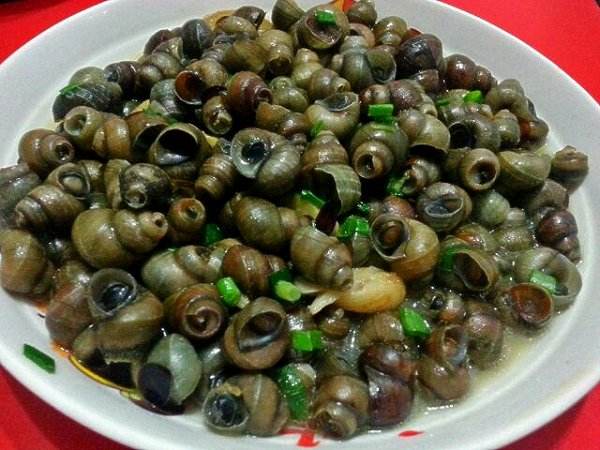 螺蛳的做法大全以及食用的处理方法