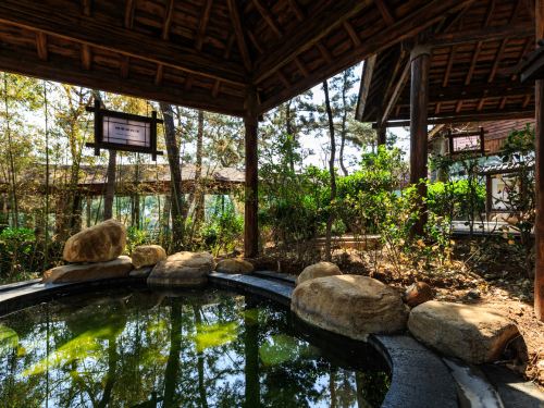 精神上养生的重要方式 健康旅游