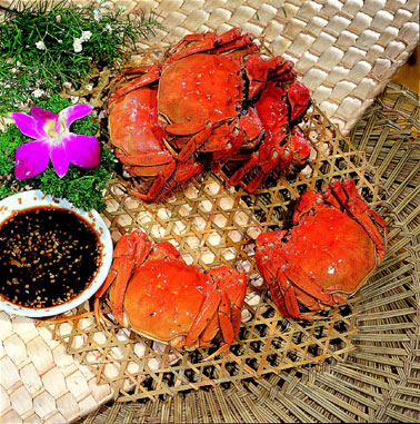 不会做菜的学螃蟹怎么做