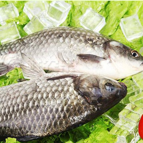 鲫鱼做法 让你做出美味又营养的鲫鱼