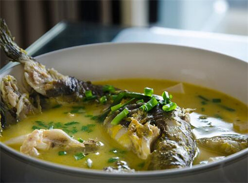 桂鱼的功效与作用 补气血益脾胃