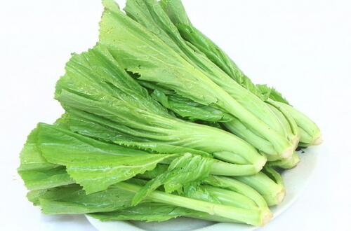 芥菜的营养价值 温中化痰开胃消食