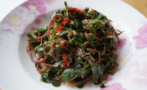 常见马齿苋的吃法 特殊人群孕妇要禁忌