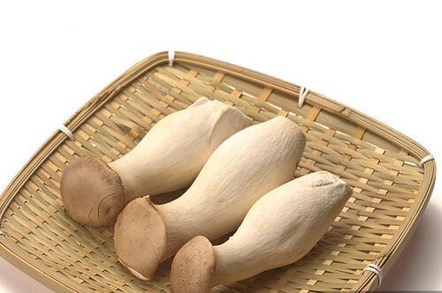 鸡腿菇的做法 美味又营养的三种做法