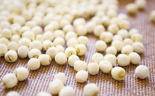 莲子益处多多 莲子的吃法有哪些