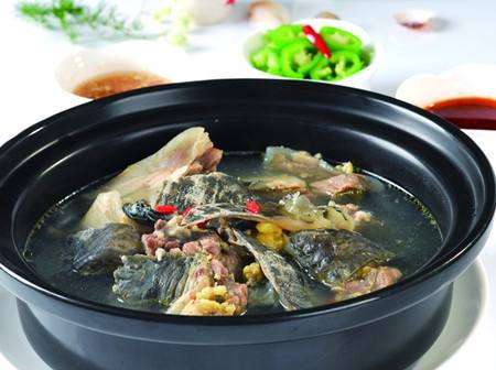 甲鱼的营养价值及哪些人群不能吃