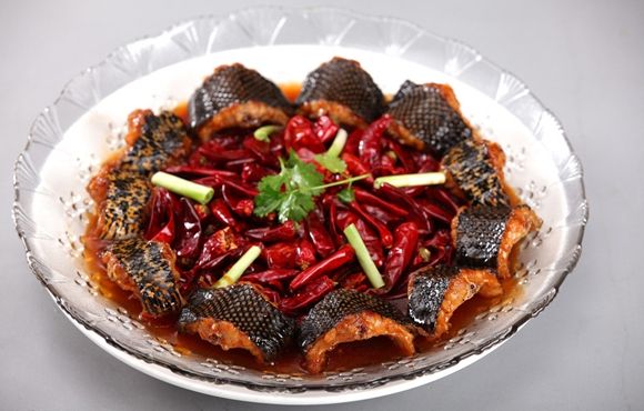 蛇肉的做法有哪些及蛇肉不能和什么一起吃的知识点