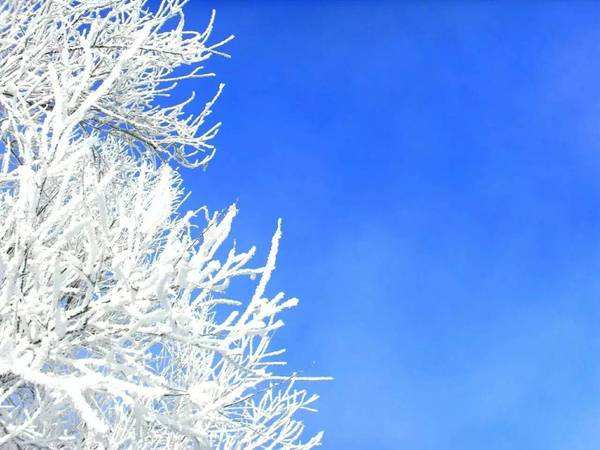 小寒时节应该如何养生 肾是重点的保养对象