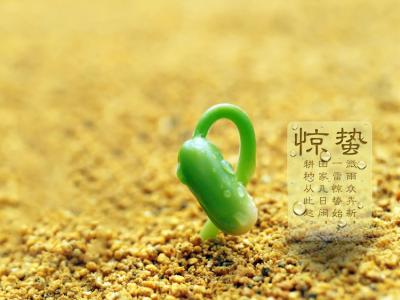 最适合养生的季节 惊蛰养生