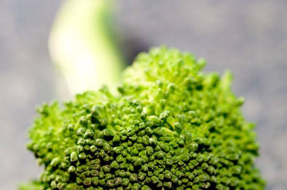 西兰花的做法大全 凉拌西兰花的家常做法