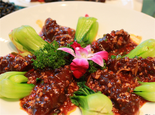 海参的做法大全 海参的营养吃法