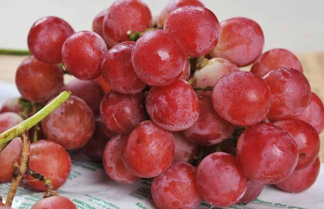 世界四大水果之首 提子的营养价值你知道吗