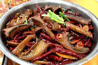 蛇肉的做法有哪些及蛇肉不能和什么一起吃的知识点