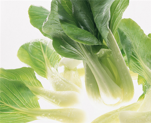 小白菜怎么做才好吃吗 小白菜的做法大全