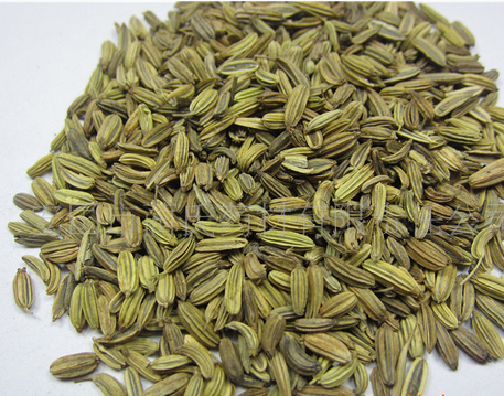 小茴香