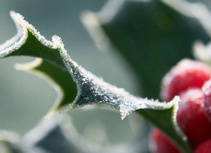 霜降养生 霜降养生重点在于保暖