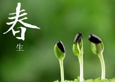 春季吃什么能给肝脏“降降火”