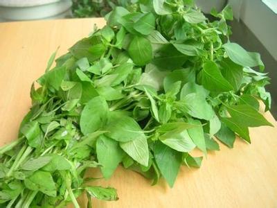 荆芥的功效与作用及食用方法 这些作用能给人们带来巨大的用处